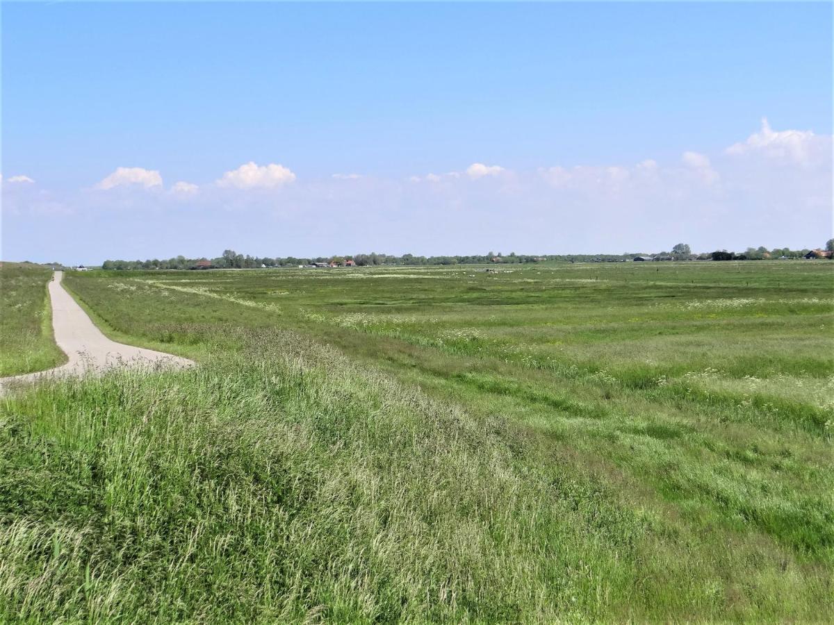 Vila Vakantiewoning Grevelingen Scharendijke Exteriér fotografie